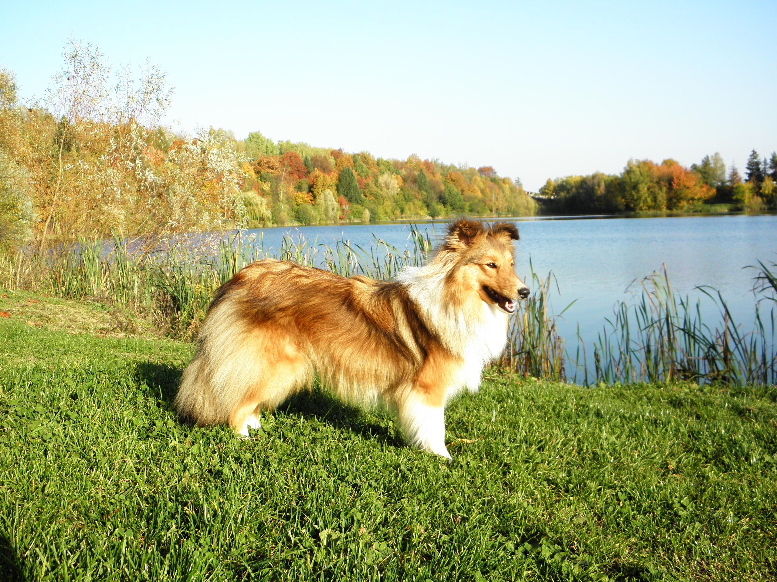 Bibi z Faustovy zahrádky